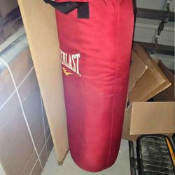 Everlast Punching Bag And Stand Combo
