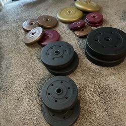 Weights 