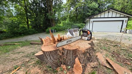 Free cedar firewood