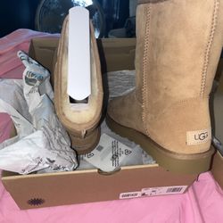 Brand New Uggs 