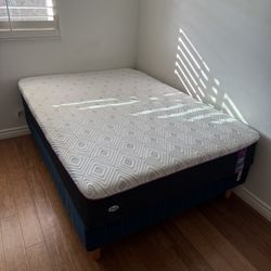 Sealy Mattress 