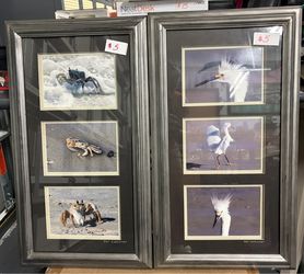 Framed Wildlife Photography Prints Set of 2