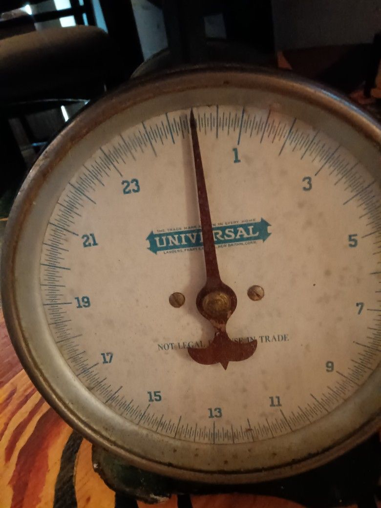 Scale