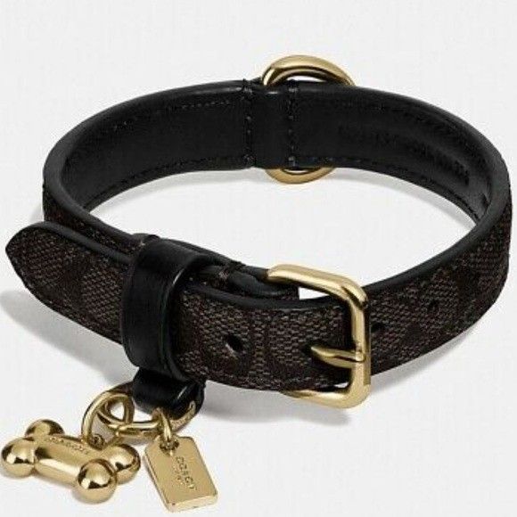 NWT Coach Dog Collar LARGE