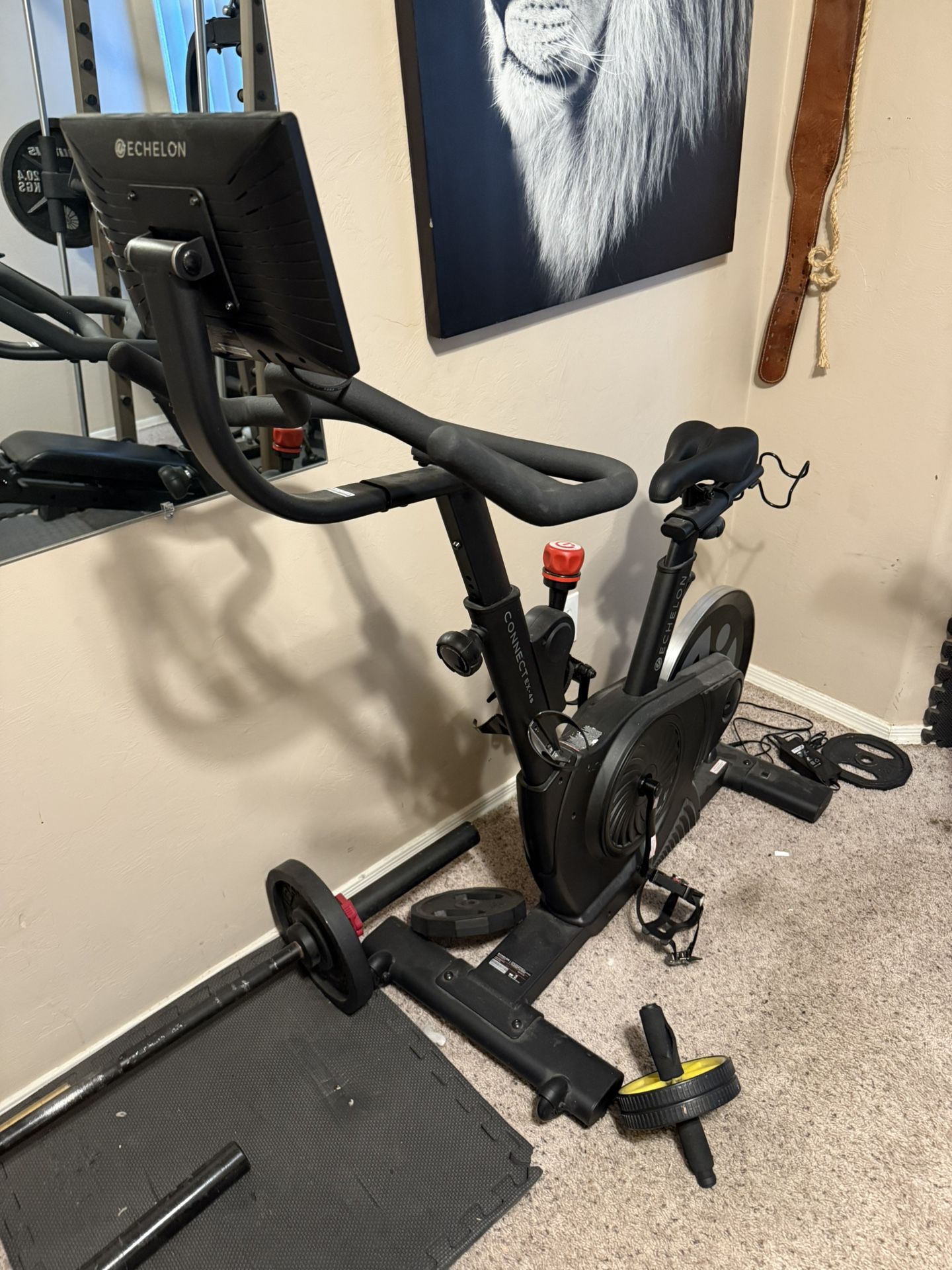Echelon Bike