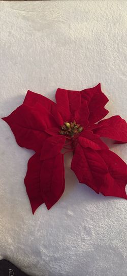 Noche buenas xmas decor