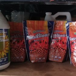 GH General Hydroponic Kool Bloom Set