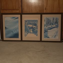 Ski Art