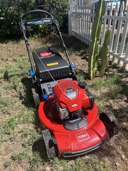 Toro (semi Nueva )