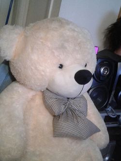 Giant teddy bear