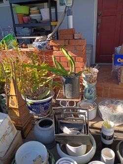 Ceramic pots for sale