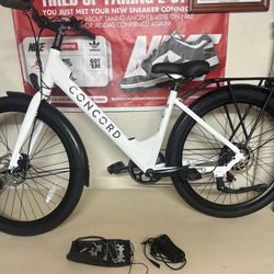 Concord Electric Bicycle (750W) Delivery App Ready! 🚲🔋