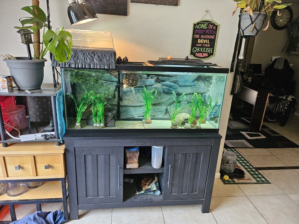 55 Gal Aquarium Complete Set Up