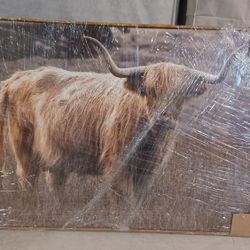 Wall Art Framed, $25

Dimensions: 47" Wide × 33" High 