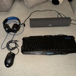 Computer Peripherals 