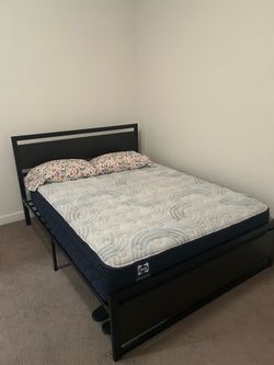 Queen Bed frame and mattress