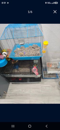 Cage