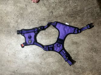 Small dog harness