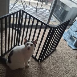 Baby or pet gate 54 x 24 inches