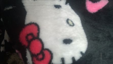 Free to good home helloKITTENS
