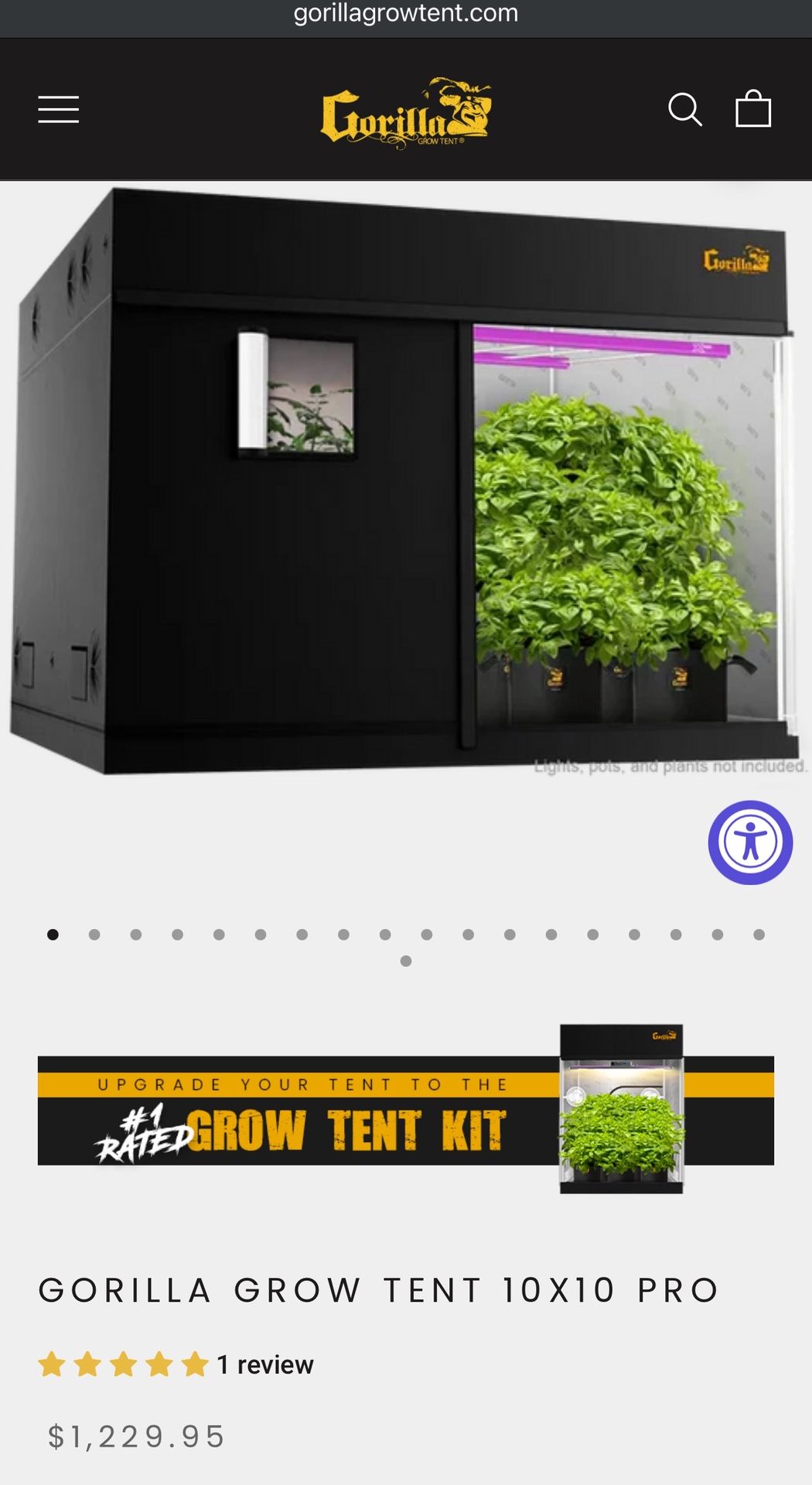 Grow Equipment (Tent & Lights)