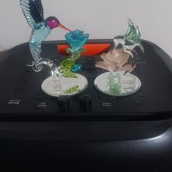 Boy And Girl Hummingbirds They've Been Hanging Out For Years