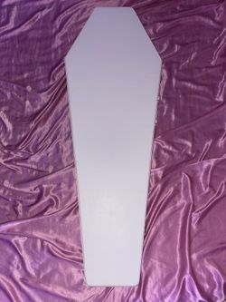 Coffin Case White Guitar Case