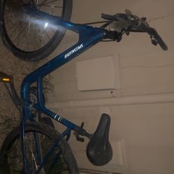 Blue 2020 Specialized Roll Sport Low Entry Bike And A Pink Elektra Cruiser Bike