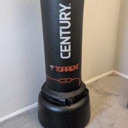 Century Torrent Punching Bag 