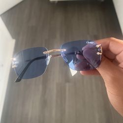 Designer Glasses