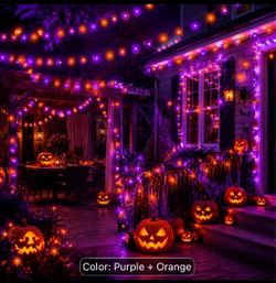 Halloween String Lights Purple and Orange