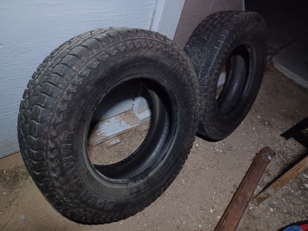 17" Truck Tire Pair $110