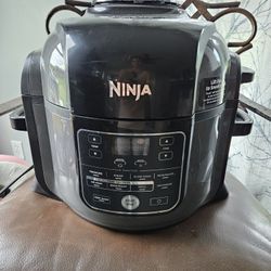 Ninja Air Fryer 