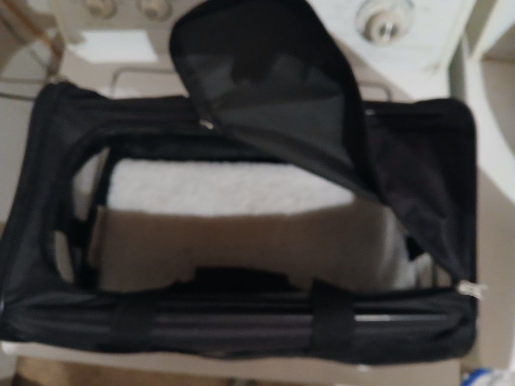 Puppy Carrier With Brand New Heart Beat Puppy Mat