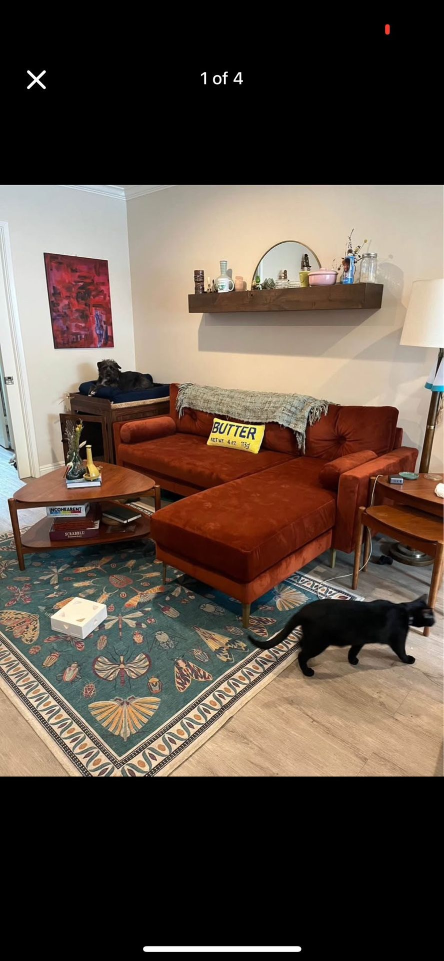 Inside Weather Velvet Couch