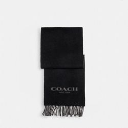 Coach Scarf 