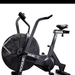 Rogue Echo Bike 3.0