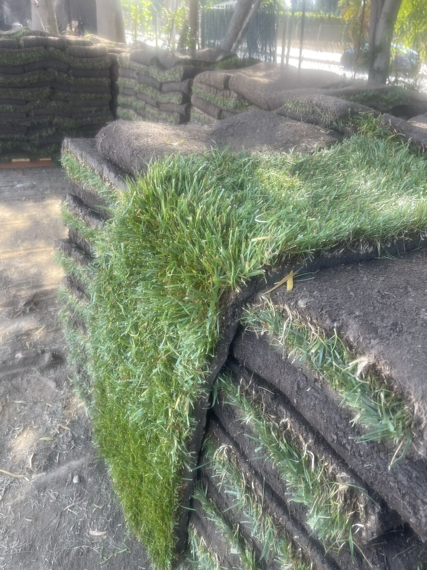 Grass And Sprinklers $3 Per Sq/ Ft