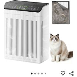 Air Purifiers for Home Large Room