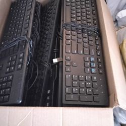 Keyboards  And  Mice 