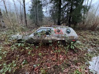 Classic Ford pinto  send offer!