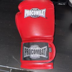 Pro combat Boxing Gloves 
