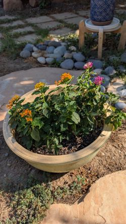 Large Shallow Ceramic Garden Planter