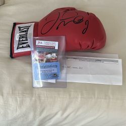 Floyd Mayweather Signed Boxing Glove—AUTHENTICATED 
