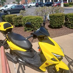 2026 YB -150-T-10 Ice bear