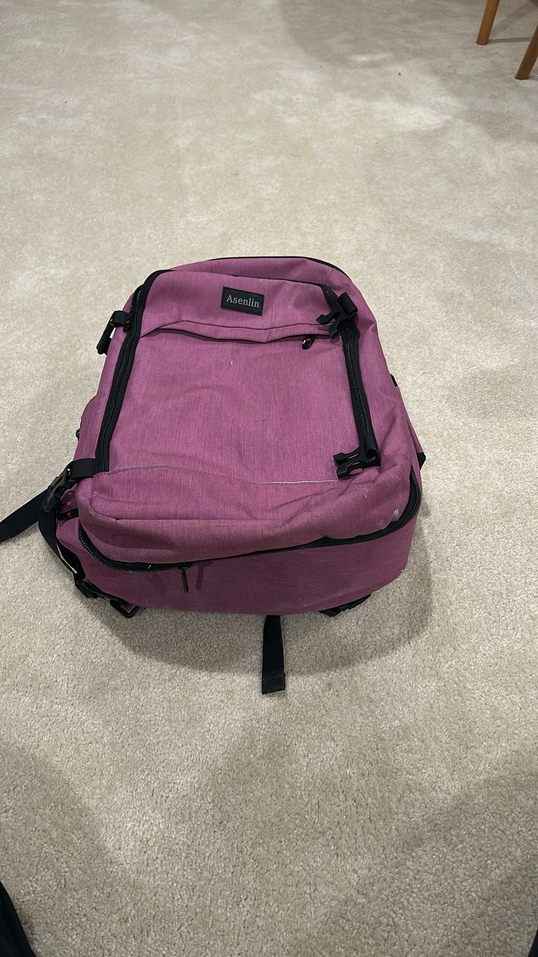 Magenta Asenlin Backpack