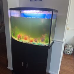 Fish Tank With Small Closet 