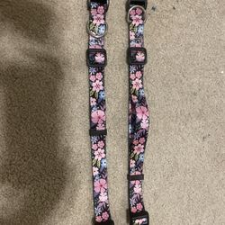 Tiny dog collar