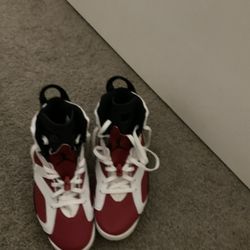 Jordan 6s