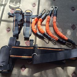 Training Harness